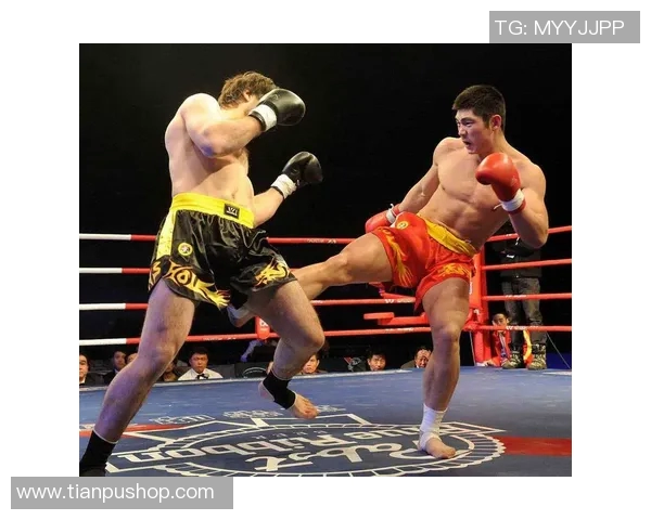 付高峰与一龙的巅峰对决谁将成为武林至尊的传奇之战